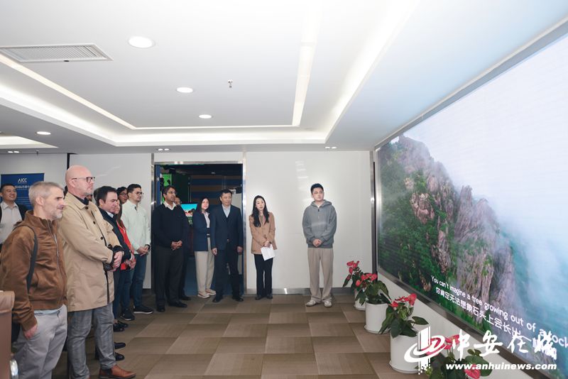 mmexport1763120825597.jpg mmexport1763120825597.jpg